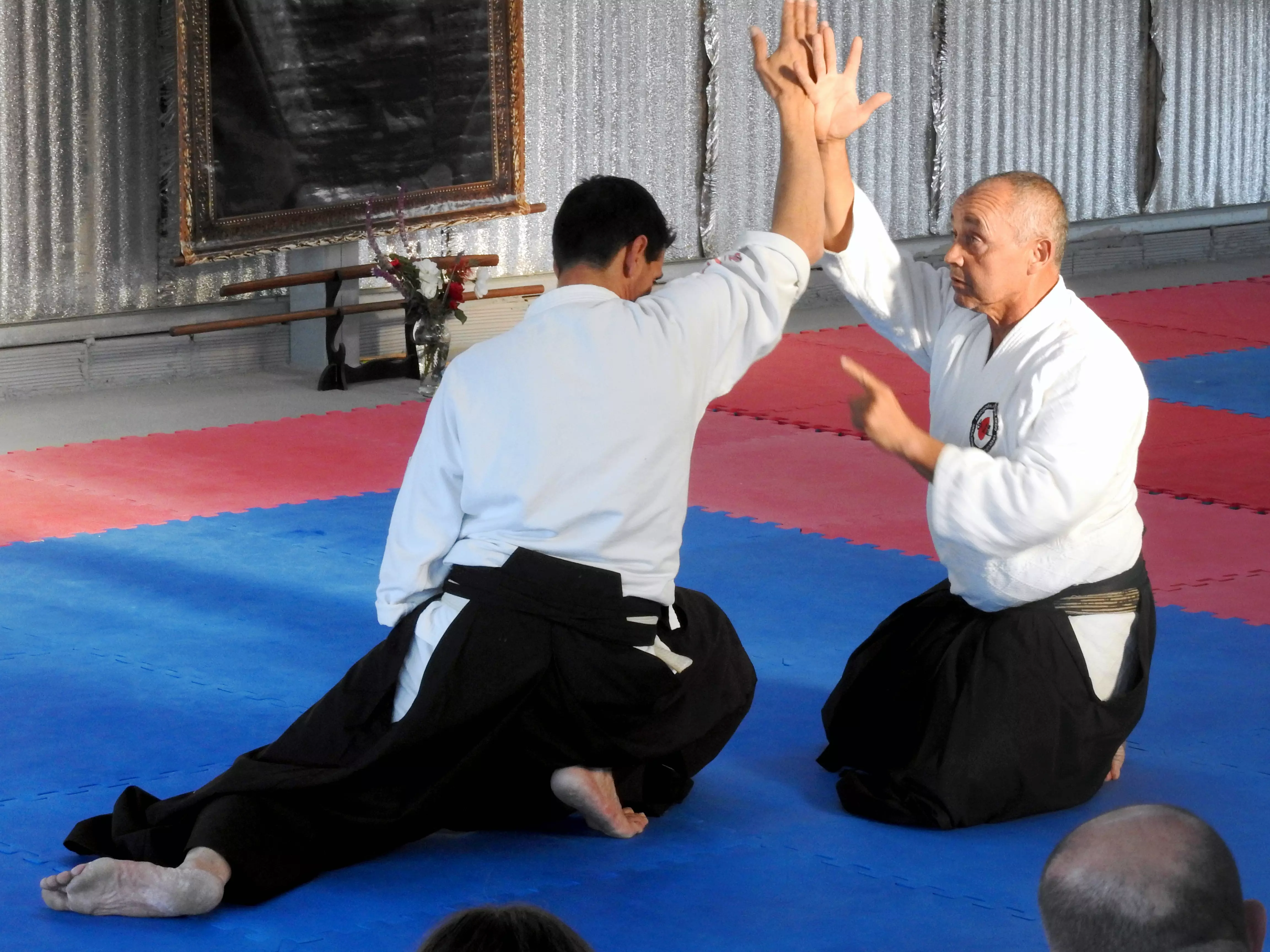 foto de sensei carrizo demostrando una técnica en un seminario